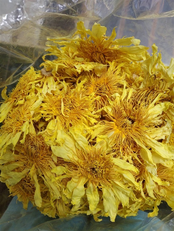 ชาดอกบัวอบแห้ง Yellow Lotus flower Tea 1000 g | NJ HERBS SHOP ( LOTUS TEA ) - บางเลน นครปฐม