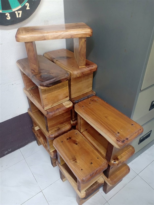 เก้าอี้ไม้ซักผ้า | ต้นไม้ราคาถูก by ใบเฟิร์น - ตากใบ นราธิวาส