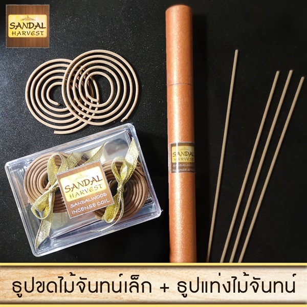 ไม้หอมแก่นจันทน์ ธูปแท่ง 10 gm.+ ไม้จันทร์ธูปขด (เล็ก18pcs) | FragrantWood - คันนายาว กรุงเทพมหานคร