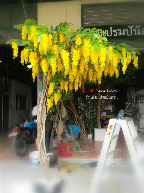 ต้นไม้เทียมเกรดเอ ต้นคูณ | ปั้นสวน - เมืองนนทบุรี นนทบุรี