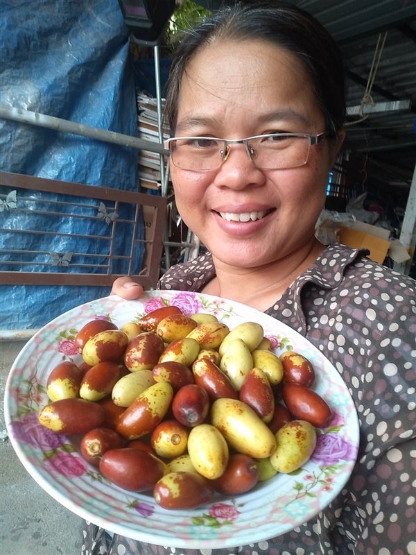 ขายเมล็ดพร้อมเพาะพุทธาจีน | เมล็ดพันธุ์ดี เกษตรวิถีไทย - เมืองระยอง ระยอง