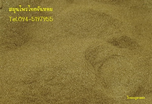 ใบมะกรูดบดผง | thaijanhomherbs - สามพราน นครปฐม