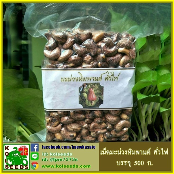 เม็ดมะม่วงหิมพานต์คั่วไฟ กะเทาะมือ พร้อมรับประทาน