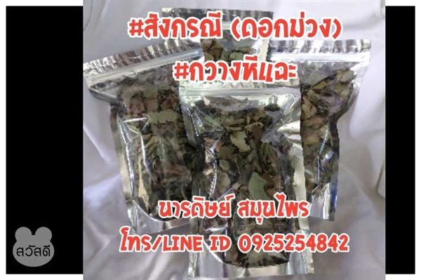 สังกรณี(ดอกม่วง) กวางหีแฉะ | นารดิษย์ สมุนไพร - คลองสามวา กรุงเทพมหานคร