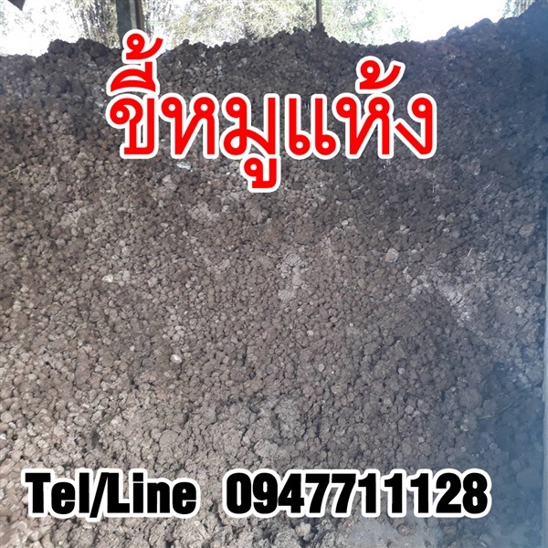 ขายส่งขี้หมูแห้ง ราคาถูก จัดส่งทั่วประเทศ | ฟามสุข - คลองหลวง ปทุมธานี