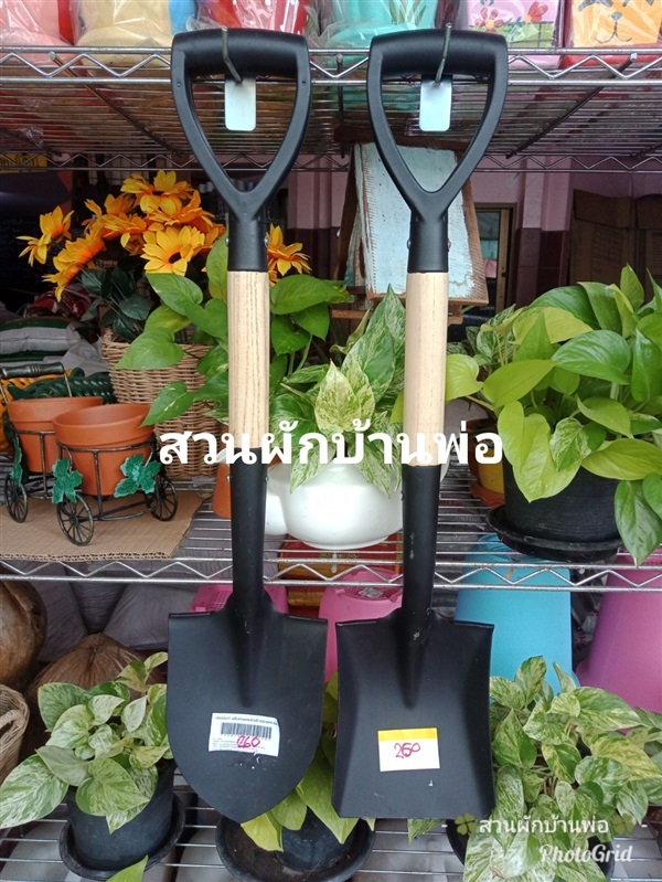 พลั่วปลายตัด/ปลายแหลมด้ามไม้ขนาดเล็ก | สวนผักบ้านพ่อ -  