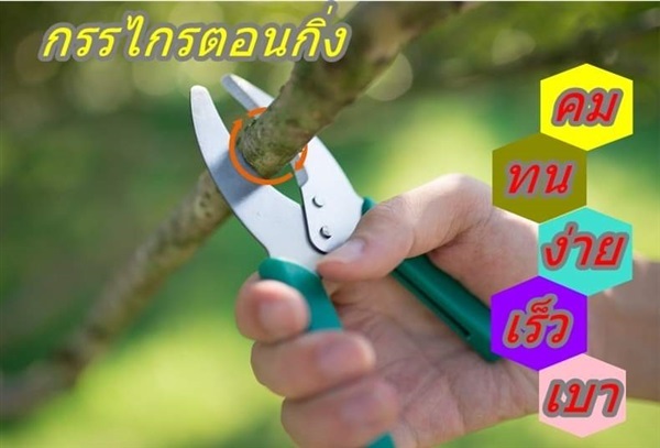 กรรไกรตอนกิ่ง กรรไกรตัดกิ่ง | ห้างหุ้นส่วนจำกัด แกรนด์การ์เด้น พลัส - คลองหลวง ปทุมธานี