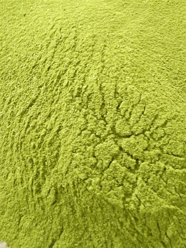 หญ้าหวานบดผง | ภูอินท์ออร์กานิค ฟาร์ม - จอมทอง เชียงใหม่
