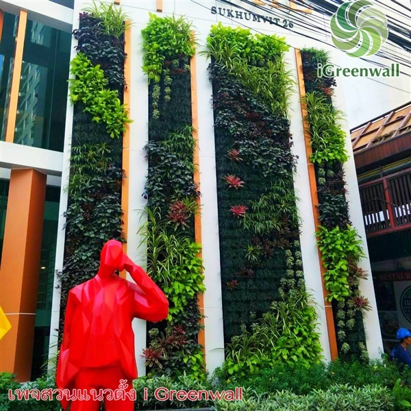 สวนแนวตั้ง | สวนแนวต้้ง iGreenwall - ทุ่งครุ กรุงเทพมหานคร