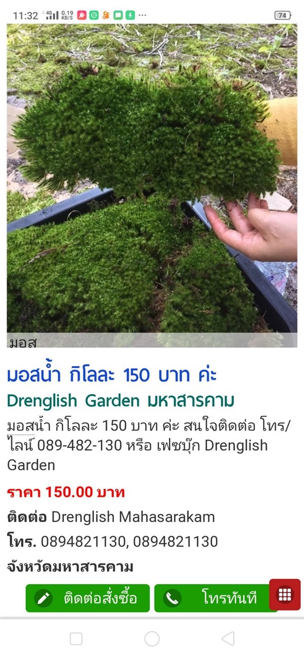 มอสดิน-มอสน้ำ | Drenglish Garden มหาสารคาม - กันทรวิชัย มหาสารคาม