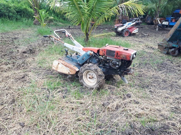 ขาย รถไถนาเดินตาม YANMAR ดีเซล 6 เกียร์ เก่าญี่ปุ่น พร้อมใช้ | tractor-backhoe - ปากท่อ ราชบุรี