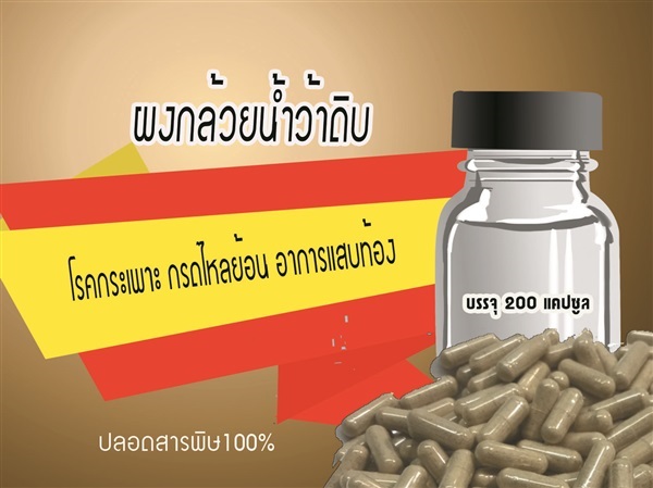 ผงกล้วยและขมิ้นชันแบบแคปซูล | สวนราชินี จ.กำแพงเพชร -  กำแพงเพชร