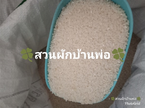 ปลายข้าวสาร | สวนผักบ้านพ่อ - เมืองสมุทรปราการ สมุทรปราการ