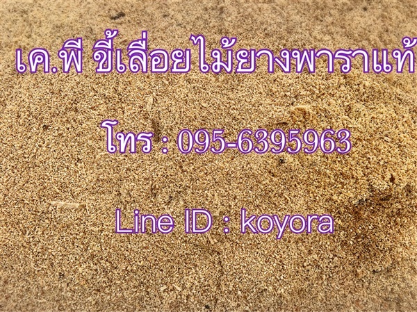 ขี้เลื่อยยางพาราแท้ | เค.พี. ขี้เลื่อยไม้ยางพารา - สิชล นครศรีธรรมราช