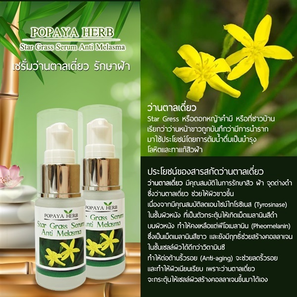 เซรั่มรักษาฝ้า ว่านตาลเดี่ยวผสมวิตามิน | PopayaNaturalProduct - คลองหลวง ปทุมธานี