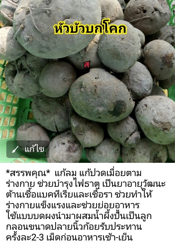 บัวบกโคก