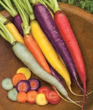 #เมล็ดแครอทคละสี  | Drenglish Garden มหาสารคาม - กันทรวิชัย มหาสารคาม