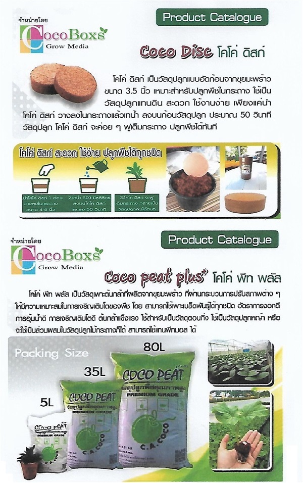 ขุยมะพร้าว  | cocoboxs2 - ลาดพร้าว กรุงเทพมหานคร