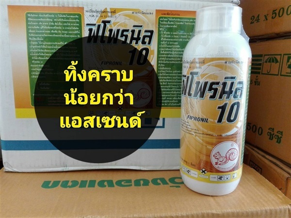 ฟิโพรนิล10% กำจัดปลวก เห็บ หมัด เหมาะกับบ้านและโรงเรือน  | ปุ๋ย ยา การันตี - วัฒนา กรุงเทพมหานคร