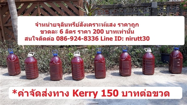 จุลินทรีย์สังเคราะห์แสง (เชียงราย) ขวด 6 ลิตร จัดส่ง Kerry