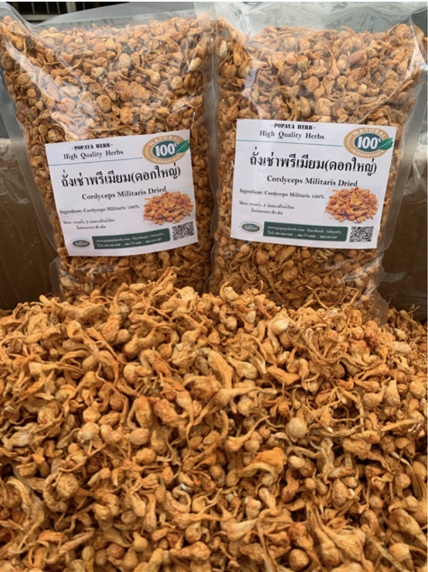 ถั่งเช่าดอกใหญ่ สายพันธุ์ธิเบต ราคาส่ง 1กิโลกรัม | PopayaNaturalProduct - คลองหลวง ปทุมธานี