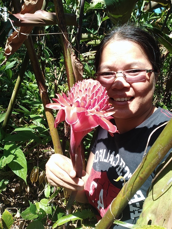 ขายพันธุ์ดาหลา สีแดง ชมพู ขาว | เมล็ดพันธุ์ดี เกษตรวิถีไทย - เมืองระยอง ระยอง