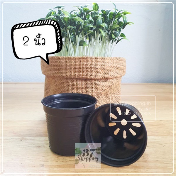 37pots กระถางพลาสติกปากกลม 2 นิ้ว สีดำ (10ใบ/ชุด) | Jaroenplastic - บ้านแพ้ว สมุทรสาคร