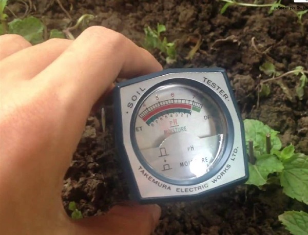 เครื่องวัด ph ดิน (Soil pH Meter) และความชื้น รุ่น DM-15 | บริษัท นีโอนิคส์ จำกัด - มีนบุรี กรุงเทพมหานคร