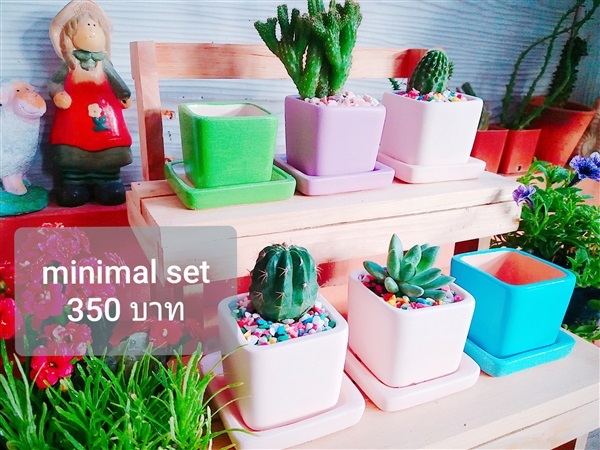 กระถางต้นไม้ พร้อมชั้นไม้ Minimal Set | ต้นกล้า pot&plant -  กรุงเทพมหานคร