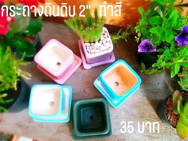  กระถางดินดิบทำสี 2 นิ้ว | ต้นกล้า pot&plant -  กรุงเทพมหานคร