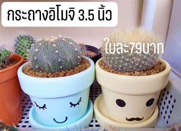 กระถาง อิโมจิ 3.5นิ้ว | ต้นกล้า pot&plant -  กรุงเทพมหานคร