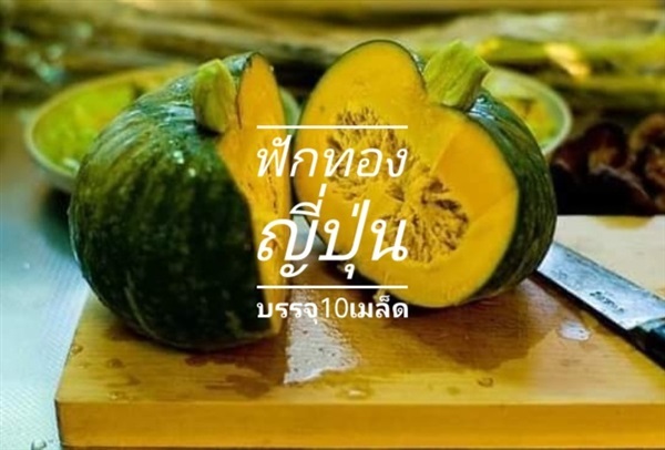 เมล็ดพันธุ์ฟักทองญี่ปุ่น | เมล็ดพันธุ์การเกษตร - สีชมพู ขอนแก่น