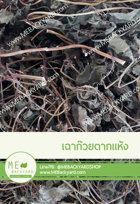 หญ้าเฉาก๊วยตากแห้ง 500 กร้ม | Mebackyard -  สมุทรสาคร