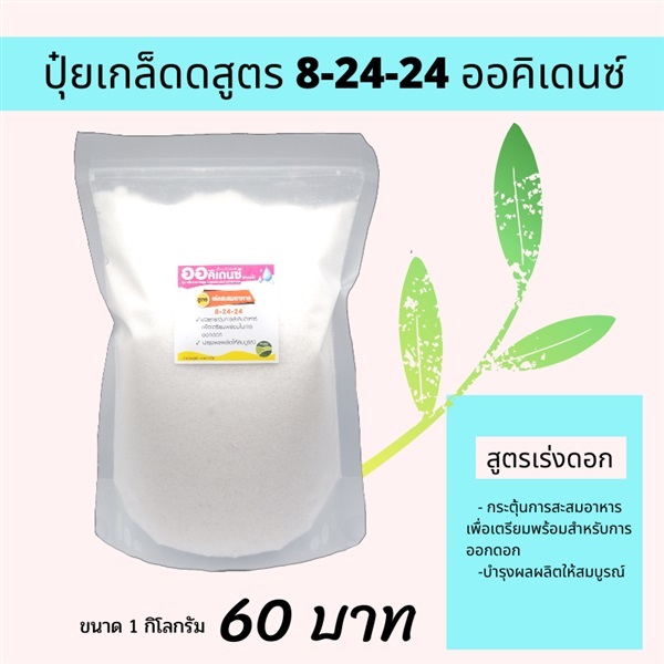 ปุ๋ยเกล็ดสูตร 8-24-24 (1กก) | แหลมทอง2 - เขาพนม กระบี่