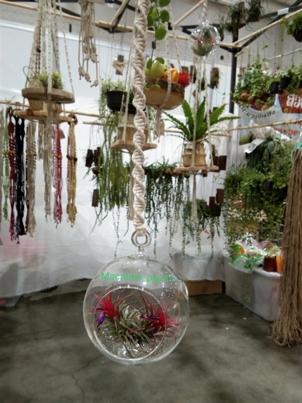 เชือกแขวนพร้อมโหลแก้ว | Macrame plant hanger - บางขุนเทียน กรุงเทพมหานคร