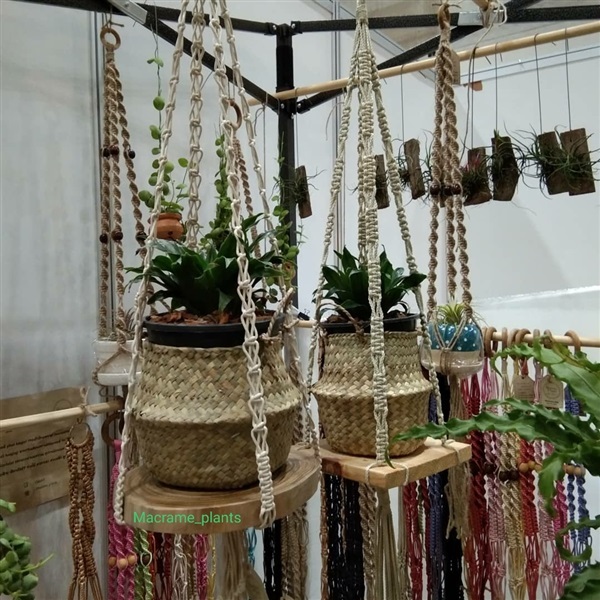 ที่แขวนกระถางต้นไม้ | Macrame plant hanger - บางขุนเทียน กรุงเทพมหานคร