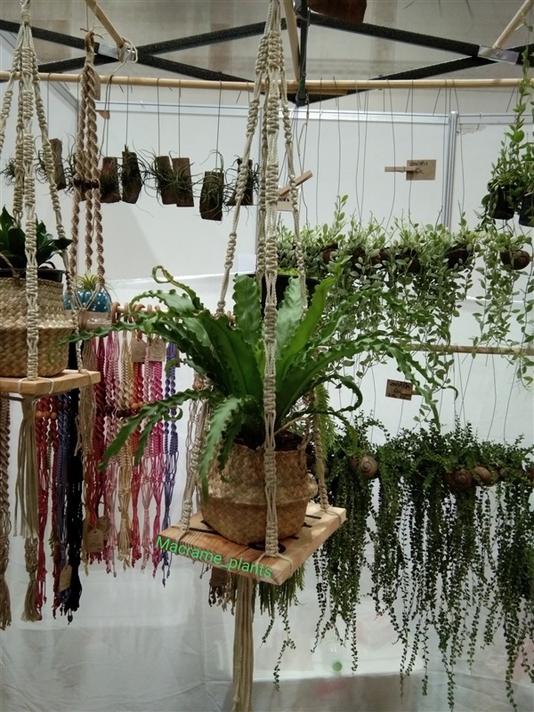 ที่แขวนกระถางต้นไม้ | Macrame plant hanger - บางขุนเทียน กรุงเทพมหานคร