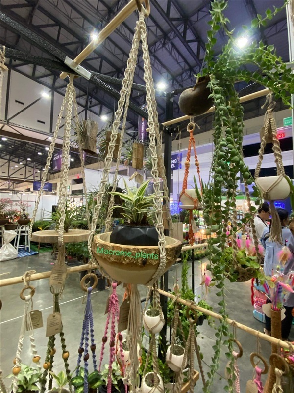 ที่แขวนกระถางต้นไม้ | Macrame plant hanger - บางขุนเทียน กรุงเทพมหานคร