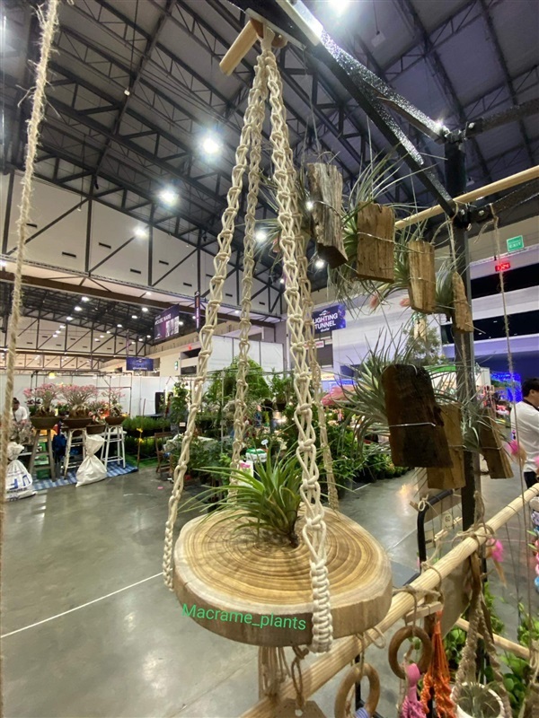 ที่แขวนกระถางต้นไม้ | Macrame plant hanger - บางขุนเทียน กรุงเทพมหานคร