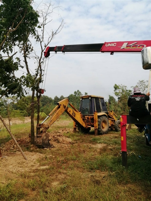 เช่ารถขุด รถตัก JCB  | โชคพันธุ์ไม้ - เมืองปราจีนบุรี ปราจีนบุรี