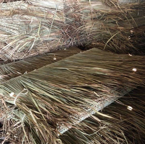 หญ้าคา หญ้าคามุงหลังคา ยาว 1.5 ม. ราคาแผ่นละ 20 บาท | mebamboothailand - เมืองนนทบุรี นนทบุรี