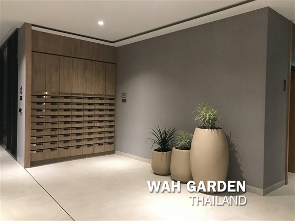 กระถางปูนซิเมนต์โมเดิร์น | Modern Cement Planter