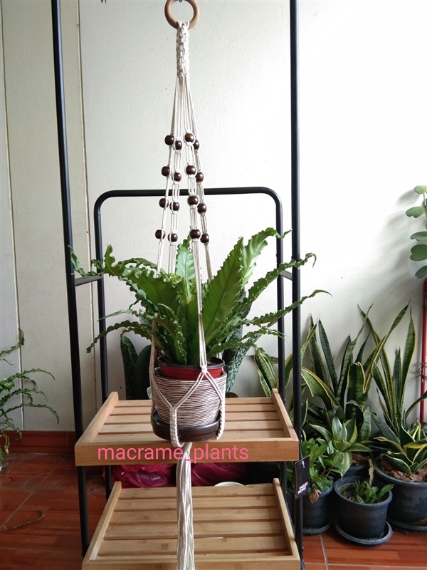 ที่แขวนกระถางต้นไม้ | Macrame plant hanger - บางขุนเทียน กรุงเทพมหานคร