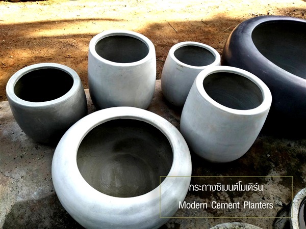 กระถางปูนซิเมนต์โมเดิร์น  |  Modern Cement Planters | วากระถางซิเมนต์ปูนเปลือย - บางน้ำเปรี้ยว ฉะเชิงเทรา