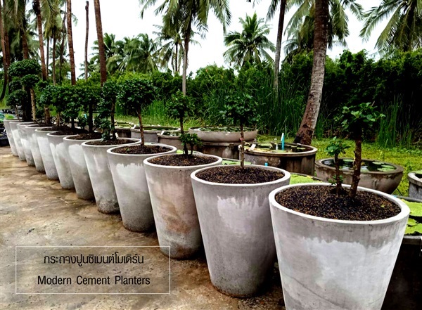 กระถางปูนซิเมนต์โมเดิร์น  |  Modern Cement Planters