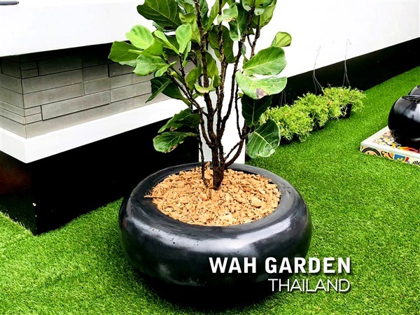 กระถางปูนซิเมนต์โมเดิร์น  |  Modern Cement Planters | วากระถางซิเมนต์ปูนเปลือย - บางน้ำเปรี้ยว ฉะเชิงเทรา