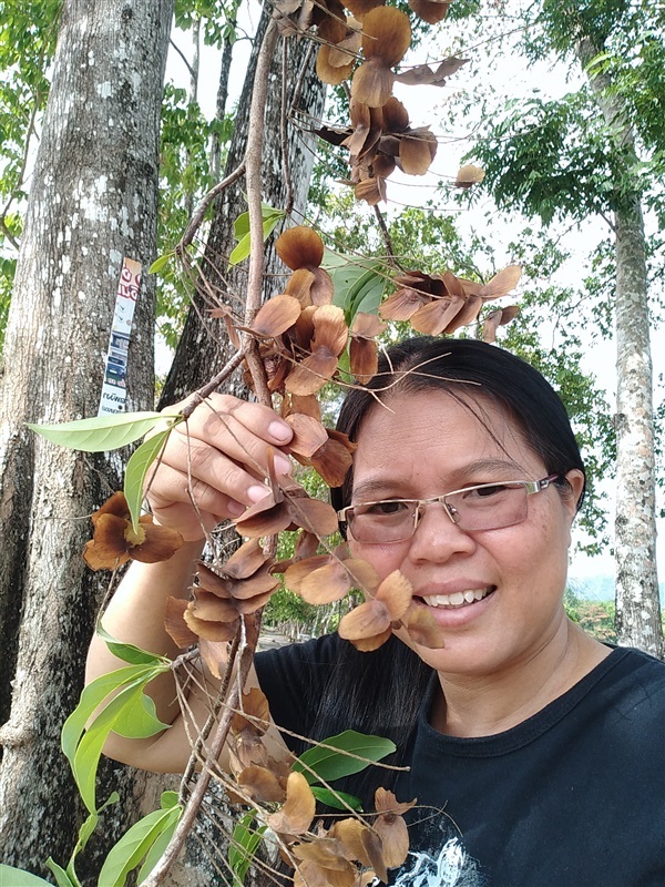 สกุณี แหนนา | เมล็ดพันธุ์ดี เกษตรวิถีไทย - เมืองระยอง ระยอง