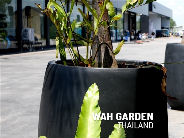 กระถางปูนซิเมนต์โมเดิร์น | Modern Cement Planters