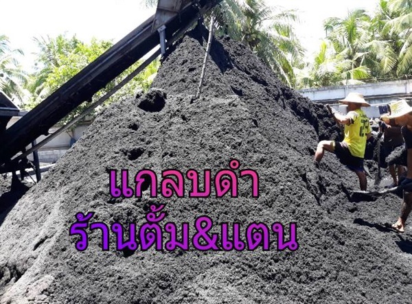 ขายแกลบดำ ดินปลูกราคาถูกค่ะ | ร้านน้องตังค์ - เมืองราชบุรี ราชบุรี