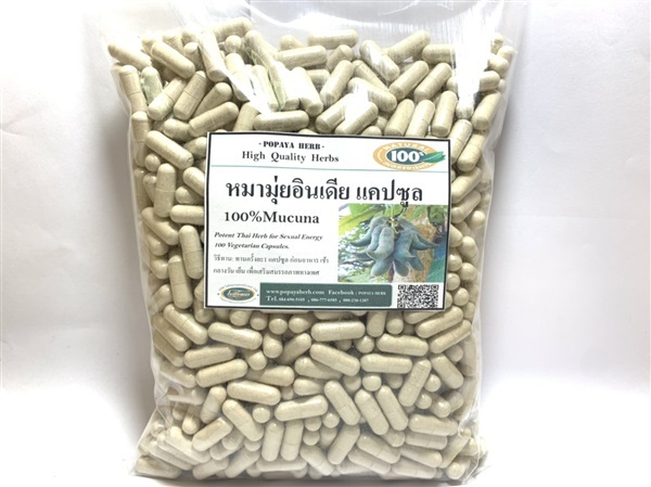 หมามุ่ยอินเดีย 100% เสริมสมรรถภาพทางเพศ ปลุกความเป็นชาย | PopayaNaturalProduct - คลองหลวง ปทุมธานี